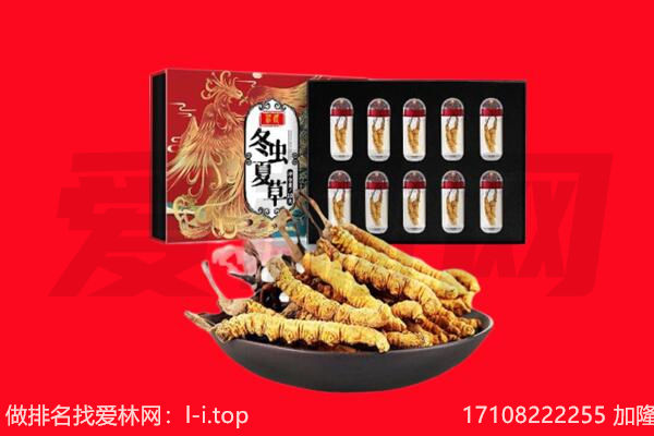 元氏县回收虫草.jpg